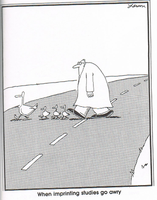 Illustration for article titled Final Farside Dose of The Day